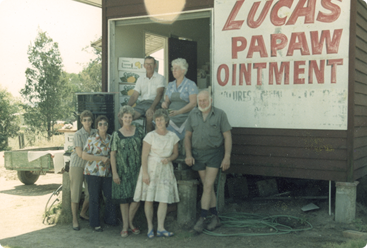 Một biểu tượng địa phương <br/> của Brisbane